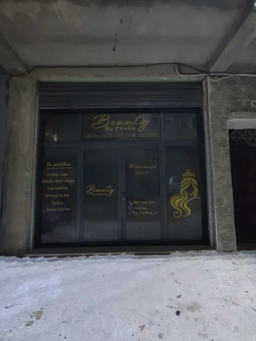 Habiallge vitrine et décoration
