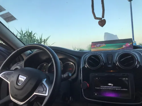 Dacia Sandero 2021 Techreod
