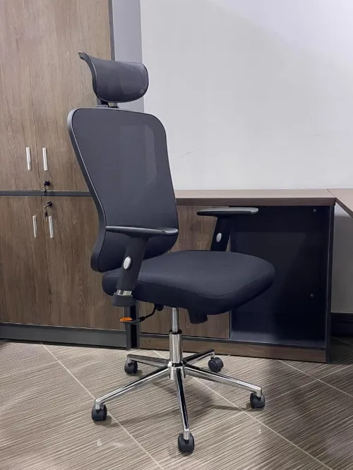 Chaise Ergonomique