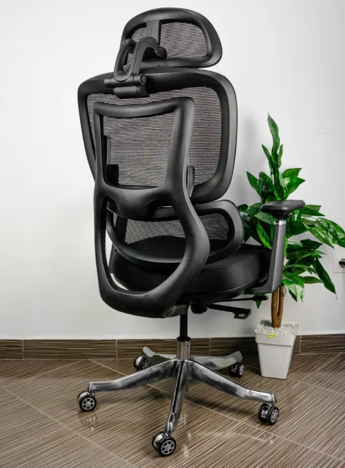 Chaise Ergonomique