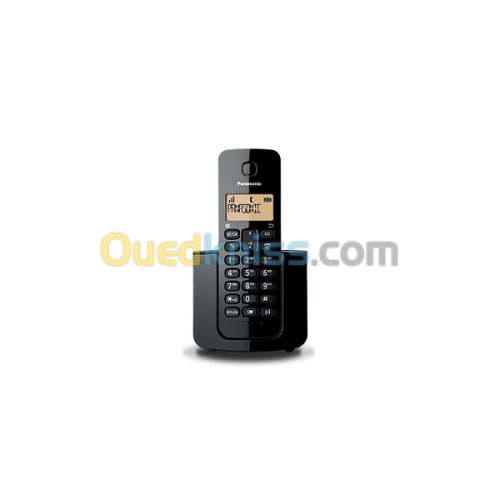 TELEPHONE PANASONIC KX-TGB10AF2 