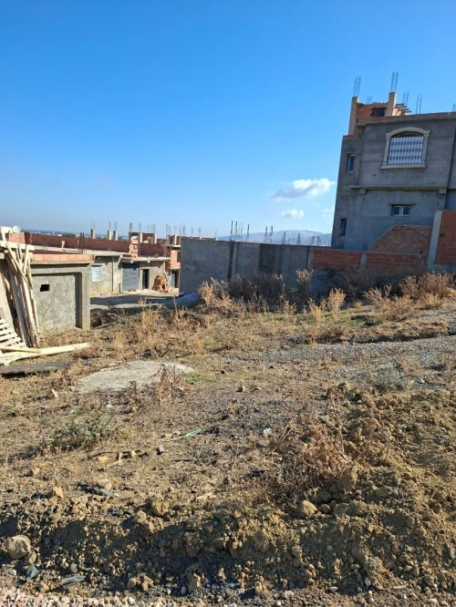 Vente Terrain Blida Ouled selama