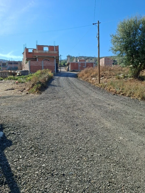 Vente Terrain Blida Ouled selama