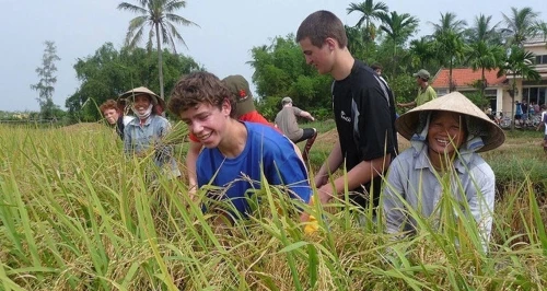 Circuit organisé au Vietnam de 10 Jours le prix est a partir 348 999 DA