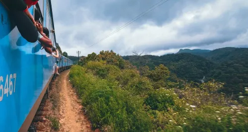 Splendeur du Sri Lanka - - Circuit de 8 jours et 7 nuits au Sri Lanka mois de Mai le prix a partir de 337 999 DA