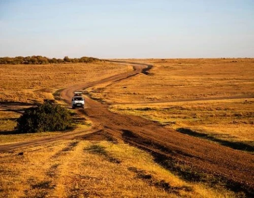  SAFARI DE LUXE AU KENYA  10 JOURS / 9 NUITS PRIX A PARTIR 354 999 DZD PAR PERSONNE 