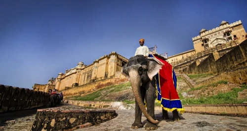 Circuit du Triangle d'Or en Inde pour 07 jours le prix est a partir de 215 999 dzd mois d'Avril et Mai