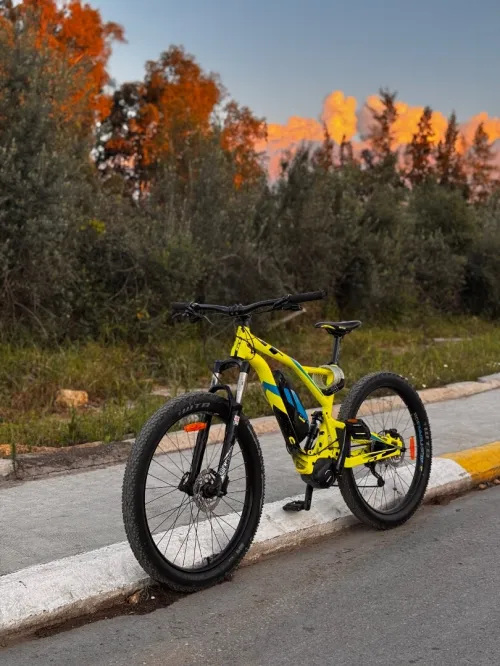 GT Vélo électrique GT eVerb current 2018