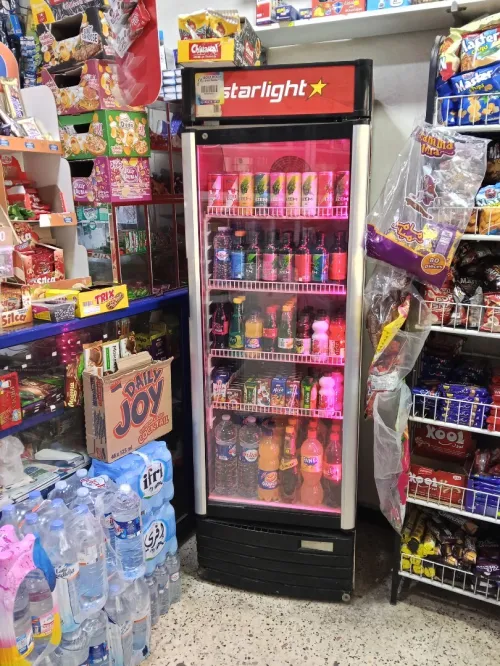 Frigo Starlight 400L