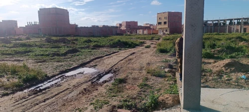 Vente Terrain Djelfa Djelfa