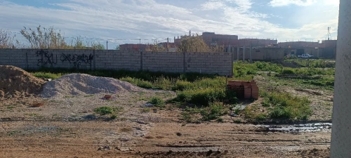 Vente Terrain Djelfa Djelfa