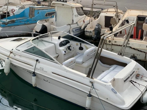 Sea Ray 215 État impeccable, prêt à naviguer