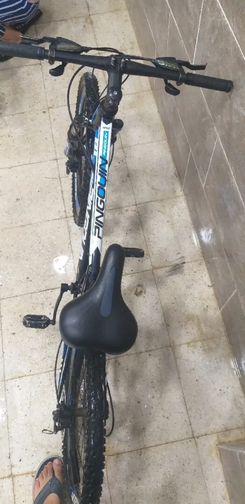 Vélo pingouin 24 pouse