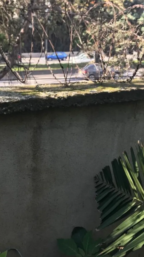 Vente Villa Alger Hydra