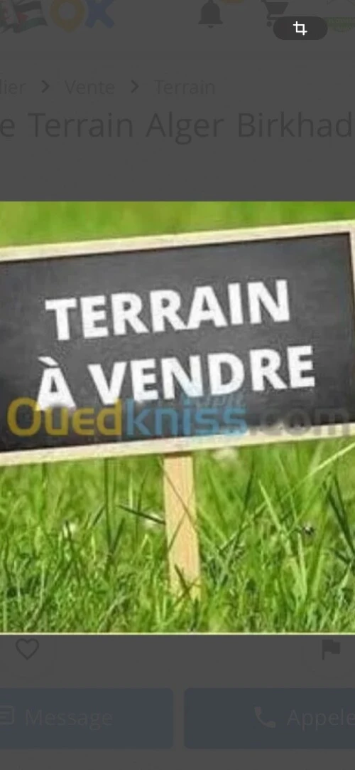 Vente Terrain Alger Kouba
