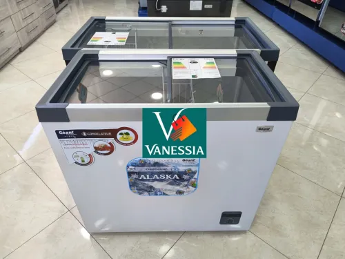 Congélateur Vitré 254L Marque Géant