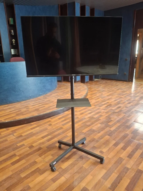 Support TV mobile professionnel