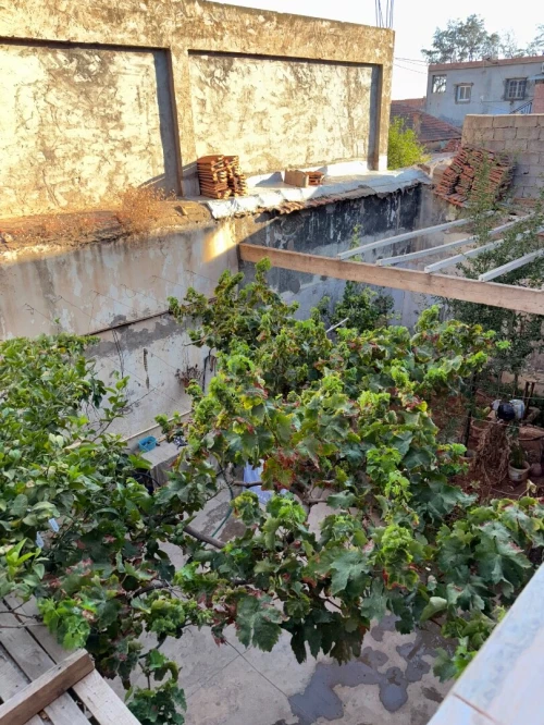 Vente Villa Oran Boutlelis