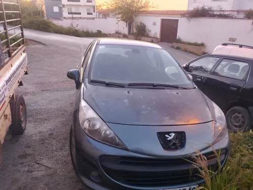 Peugeot 207 2007 Trendy
