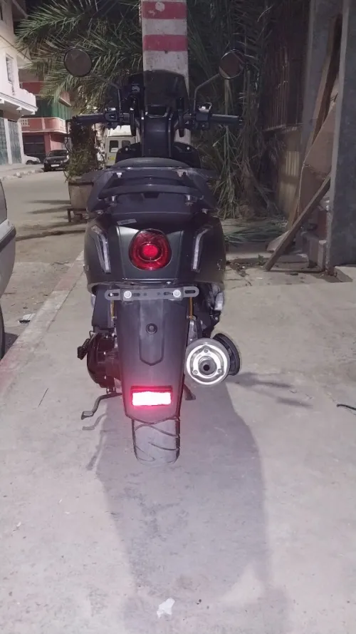 Vms Gemma 2025