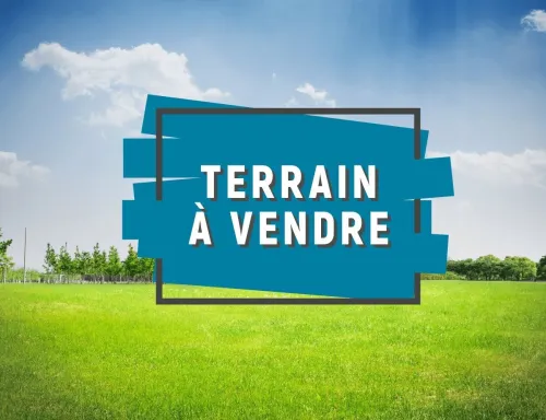 Vente Terrain Alger Dely brahim