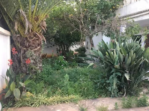 Vente Villa Alger Kouba