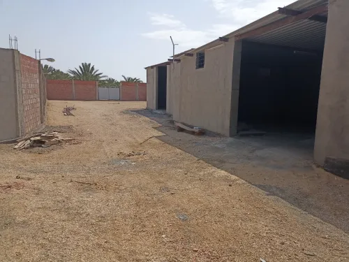 Location Terrain Biskra Biskra