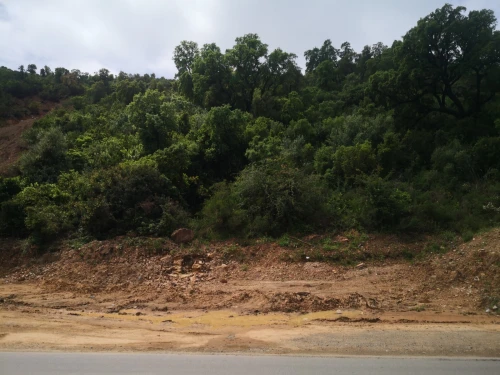 Vente Terrain Appartement F3 Béjaïa Ifenain ilmathen