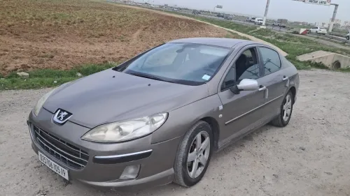 Peugeot 407 2005 407