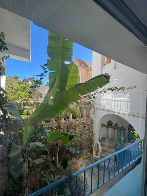 Location Villa Alger Hydra