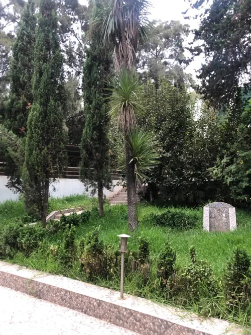 Location Immeuble Alger Hydra