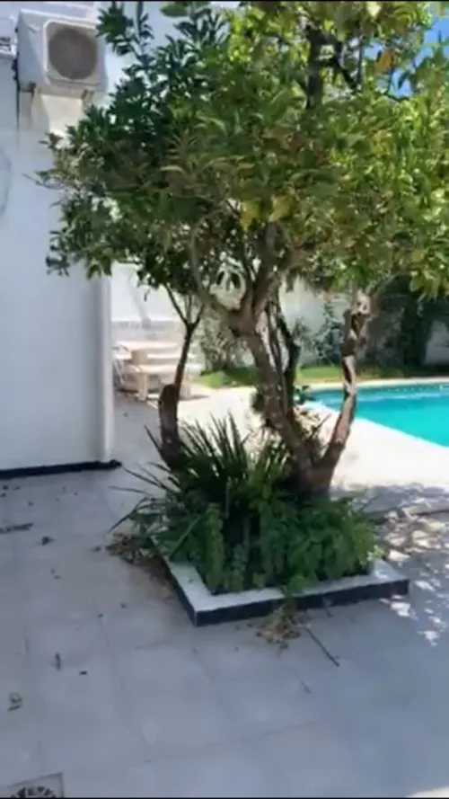 Location Villa Alger Hydra