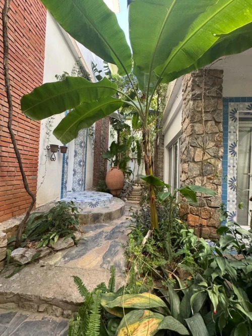 Location Villa Alger Hydra
