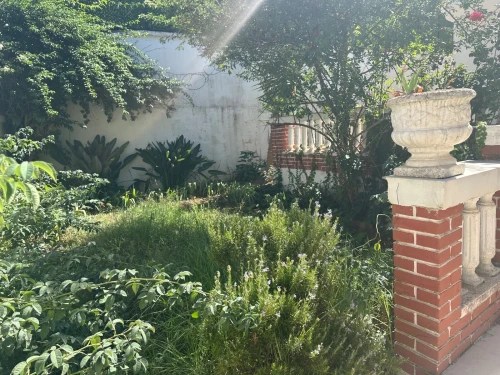 Vente Villa Alger Ben aknoun