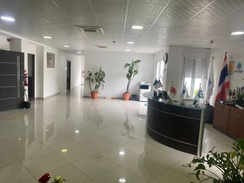 Location Immeuble Alger Ben aknoun
