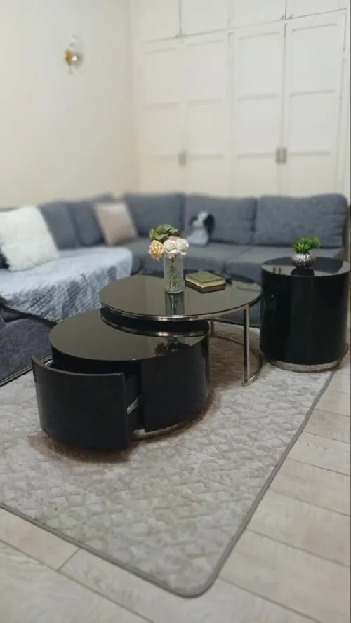 Table basse en inox avec rangement 