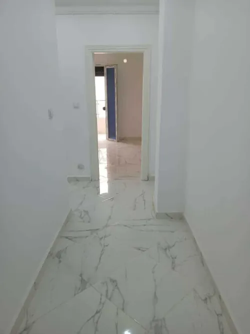 Location Appartement F3 Alger Dely brahim