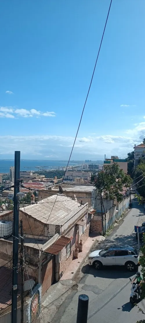 Location Appartement Studio Alger Alger centre
