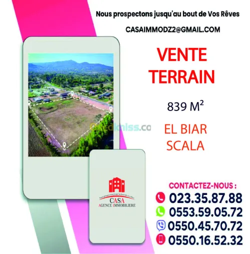 Vente Terrain Alger El biar