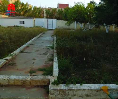 Vente Terrain Alger Birkhadem