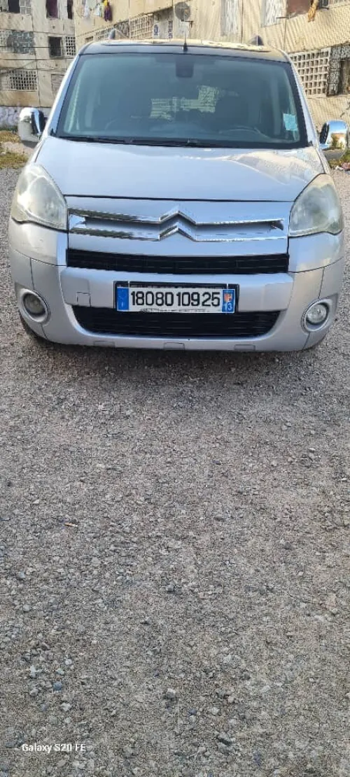 Citroen Berlingo 2009 Berlingo