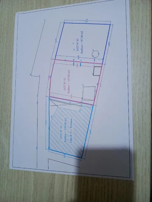 Vente Terrain Alger Rais hamidou