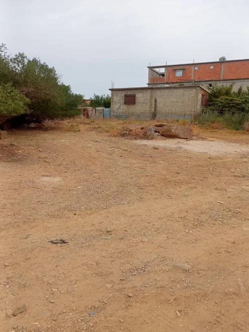 Vente Terrain El Tarf Drean