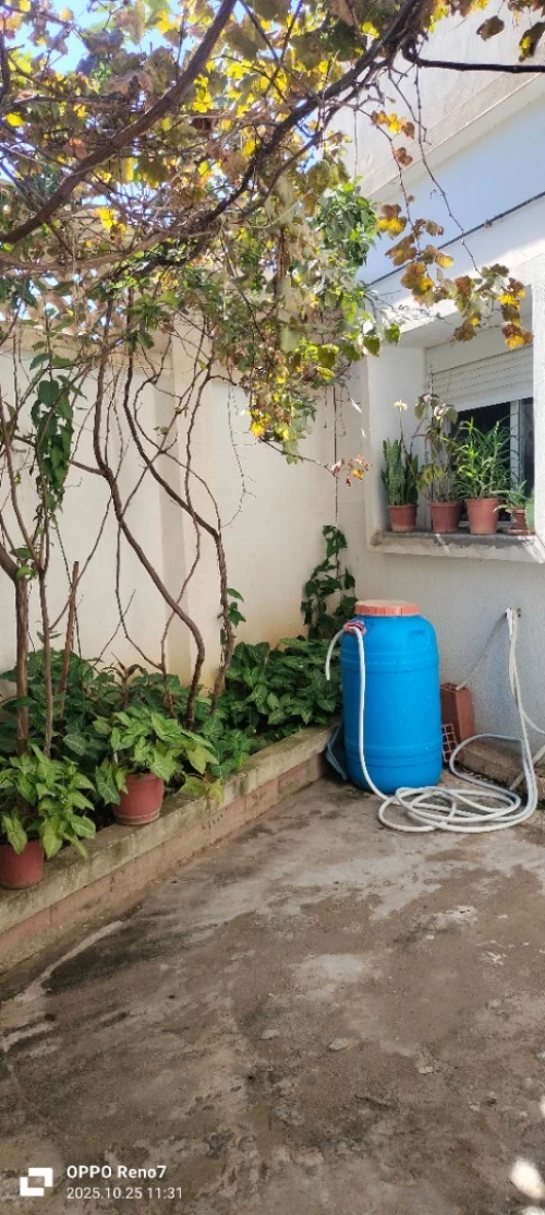 Vente Villa Alger Ouled chebel