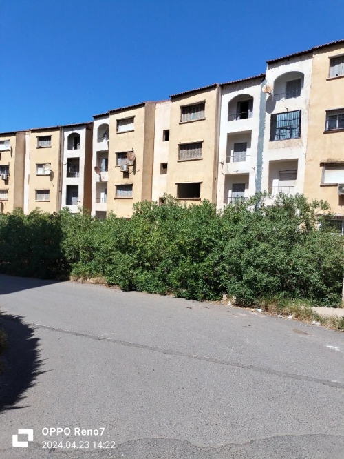 Vente Appartement F3 Tipaza Douaouda