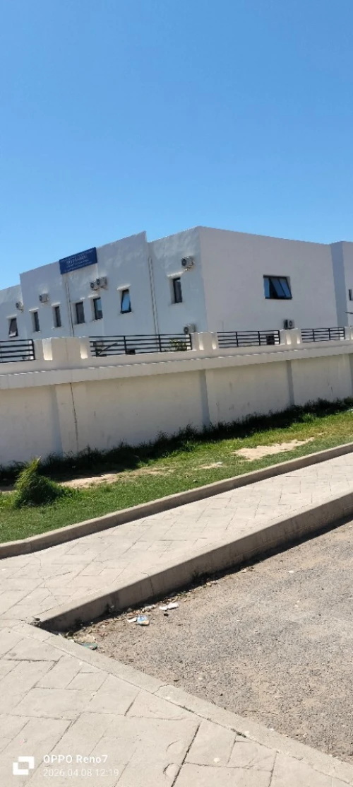 Vente Local Alger Les eucalyptus