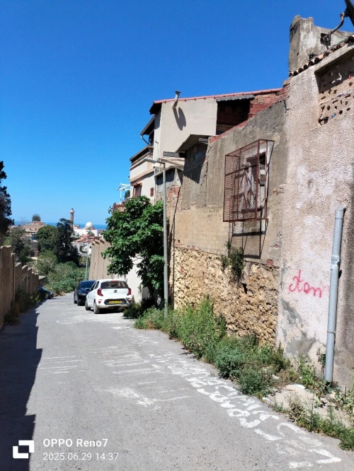 Vente Terrain Alger El biar