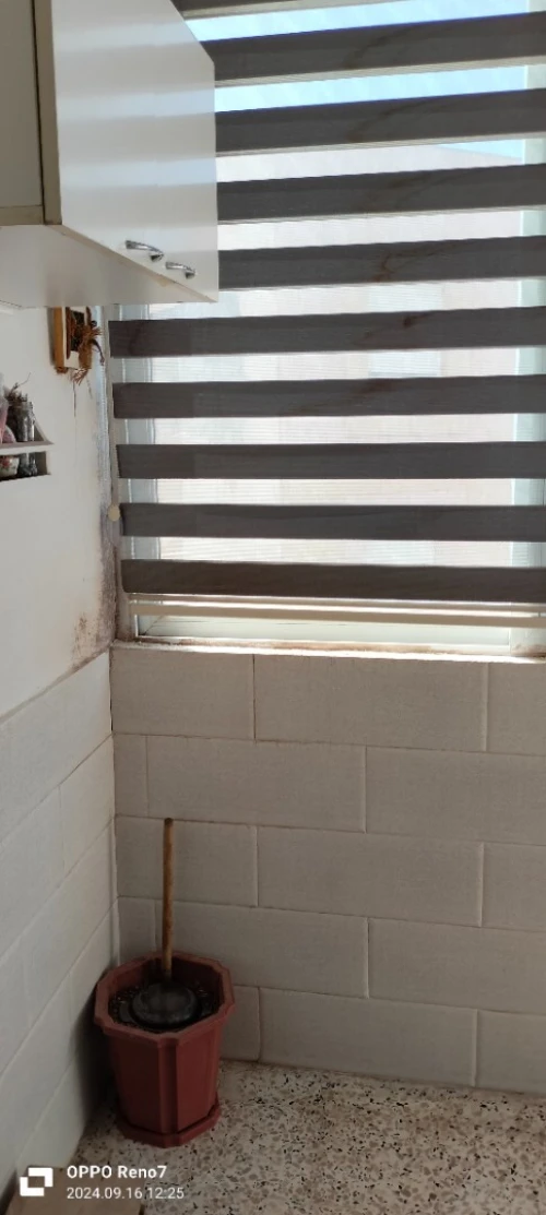 Vente Appartement F4 Alger Dely brahim