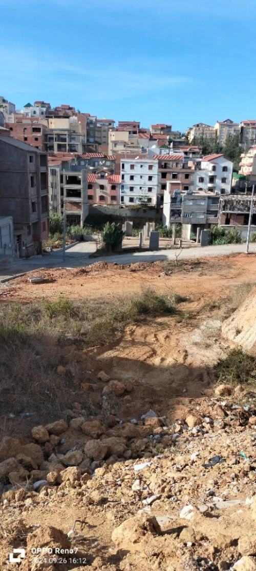 Vente Terrain Alger Saoula