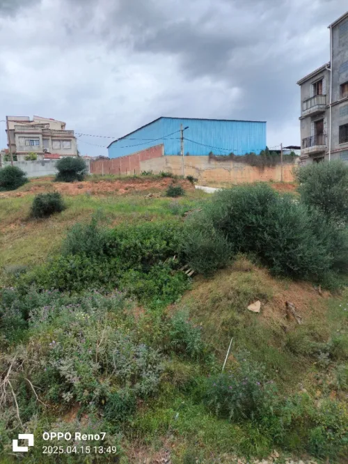 Location Villa Alger Birtouta